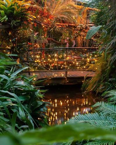 Botanische avondtuin met warme lichtjes weerspiegeld in het water